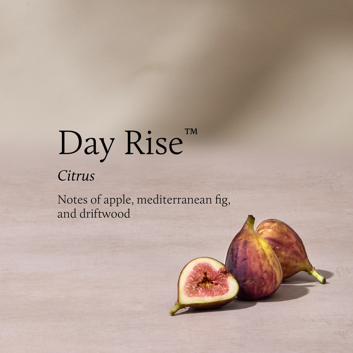Day Rise 13 oz 2-Wick Candle